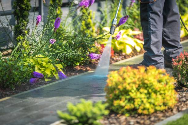 Best Gutter Cleaning  in Bowmanstown, PA