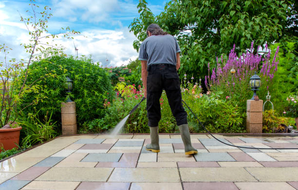 Best Pre-Holiday Cleaning  in Bowmanstown, PA